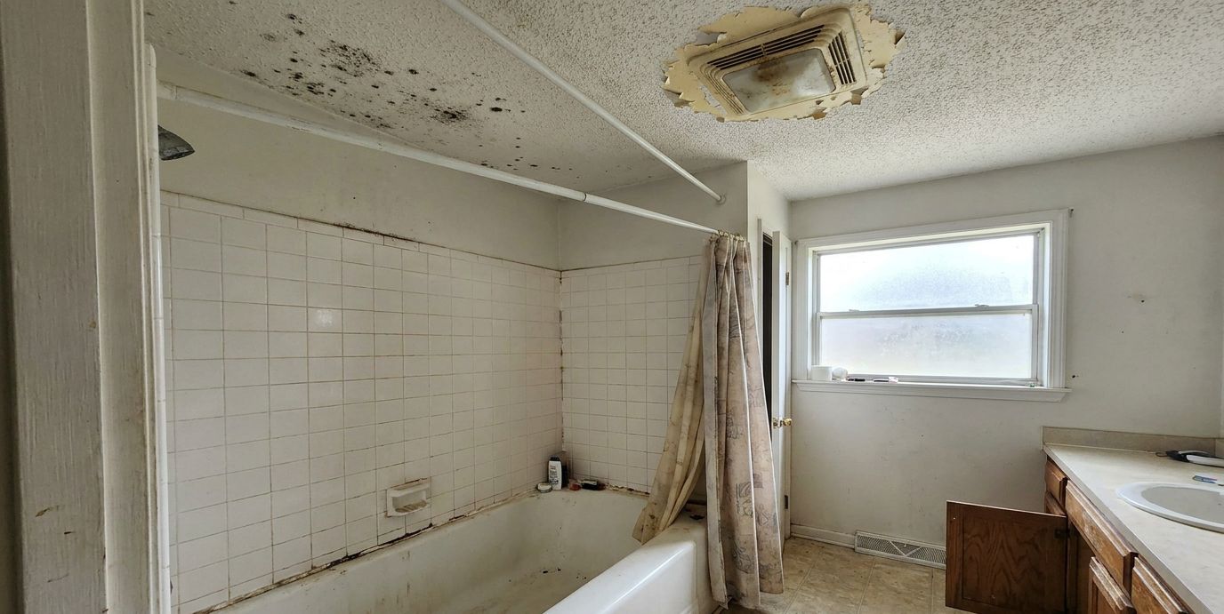 Bathroom ceiling above a shower spotted with black mold